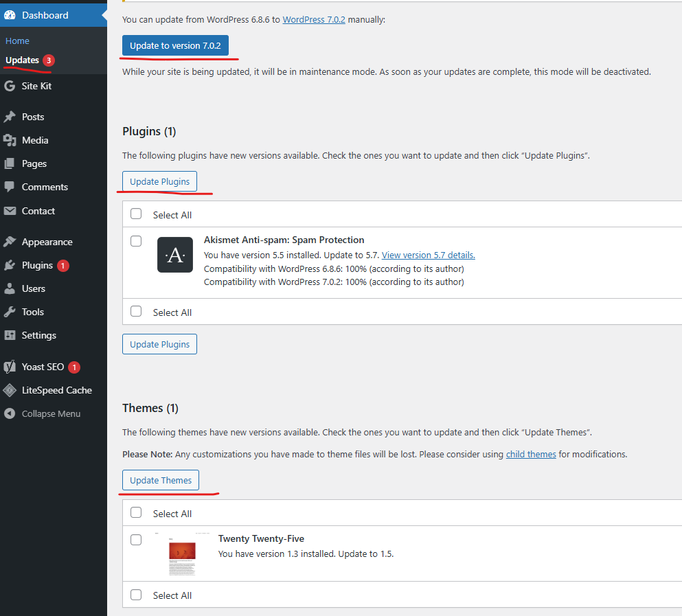 WordPress Dashboard Updates page listing available core, plugin and theme updates