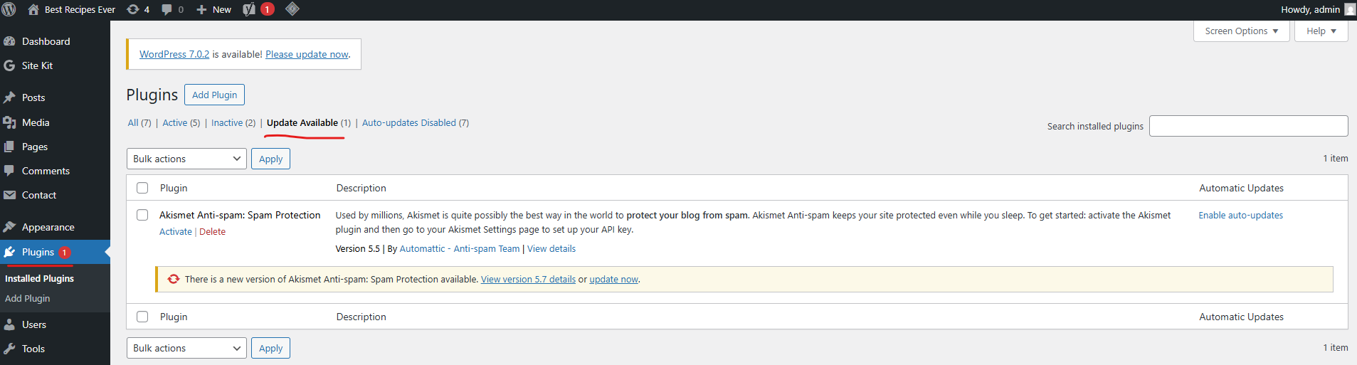 WordPress Installed Plugins page with bulk actions used to update selected plugins