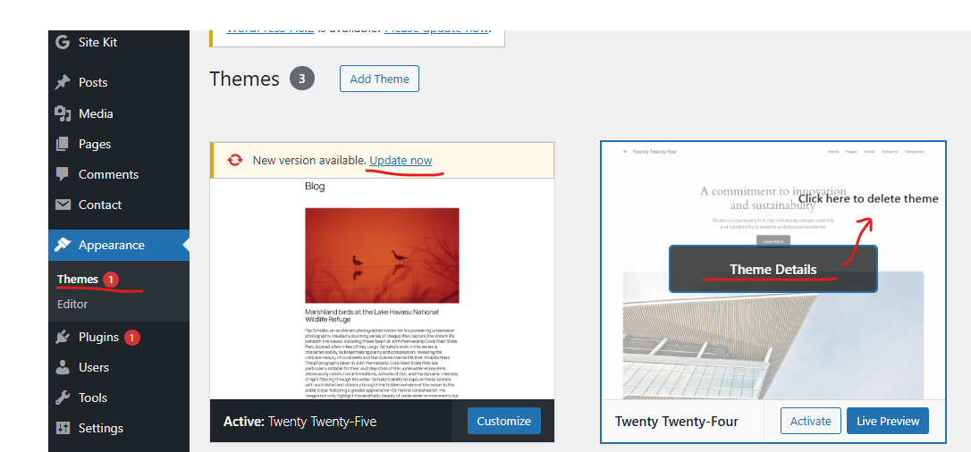 WordPress Appearance Themes page showing an available theme update and the option to delete an unused theme